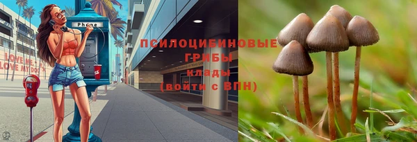 бутират Арсеньев