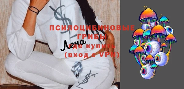 мяу мяу мука Аркадак