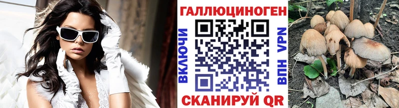 Псилоцибиновые грибы мицелий  купить закладку  Багратионовск 