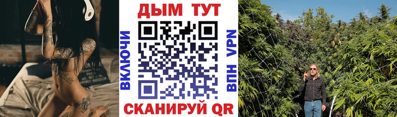 Шишки марихуана сатива  закладки  Багратионовск 